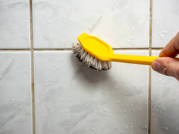 Best Mold Removal Process  in Marengo, IA