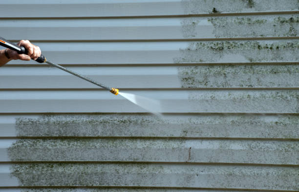 Best Commercial Mold Removal  in Marengo, IA