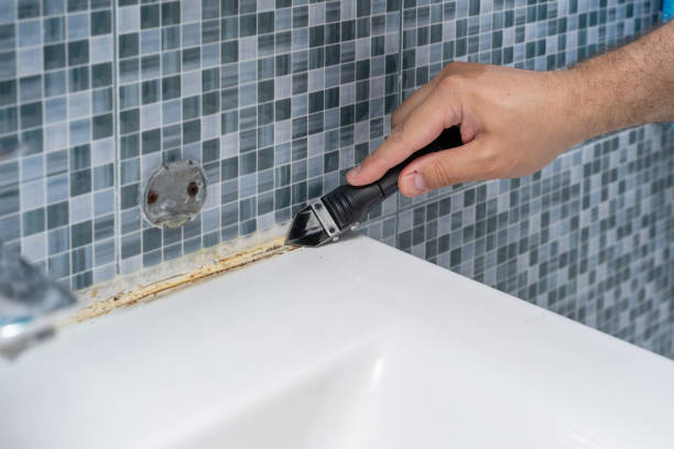 Best Mold Removal Company Near Me  in Marengo, IA