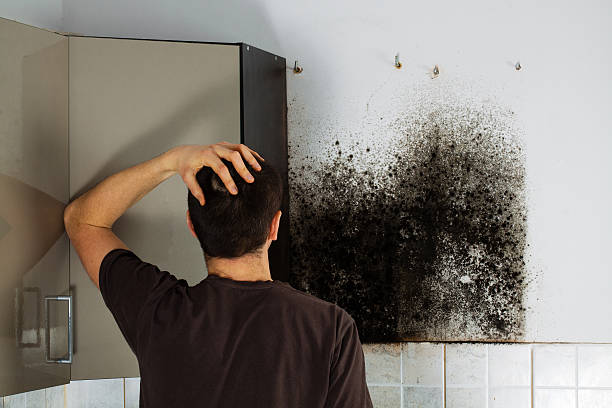 Best Mold Testing  in Marengo, IA